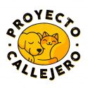 Proyecto Callejero-v2 Proyecto Callejero-v2
